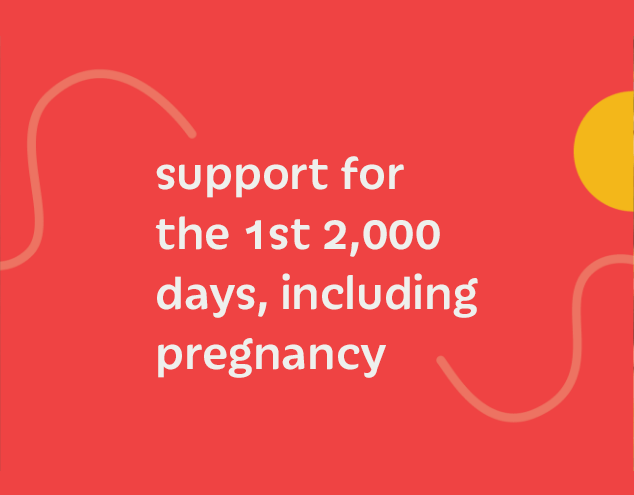 Support for the first 1000 days, including pregnacy